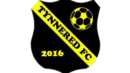 Tynnered FC logo