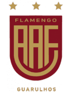Associação Atlética Flamengo logo