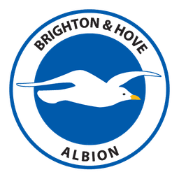 Brighton & Hove Albion (D) logo