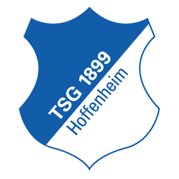 TSG Hoffenheim U17 logo